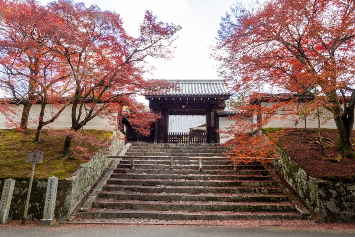 曼殊院 階段