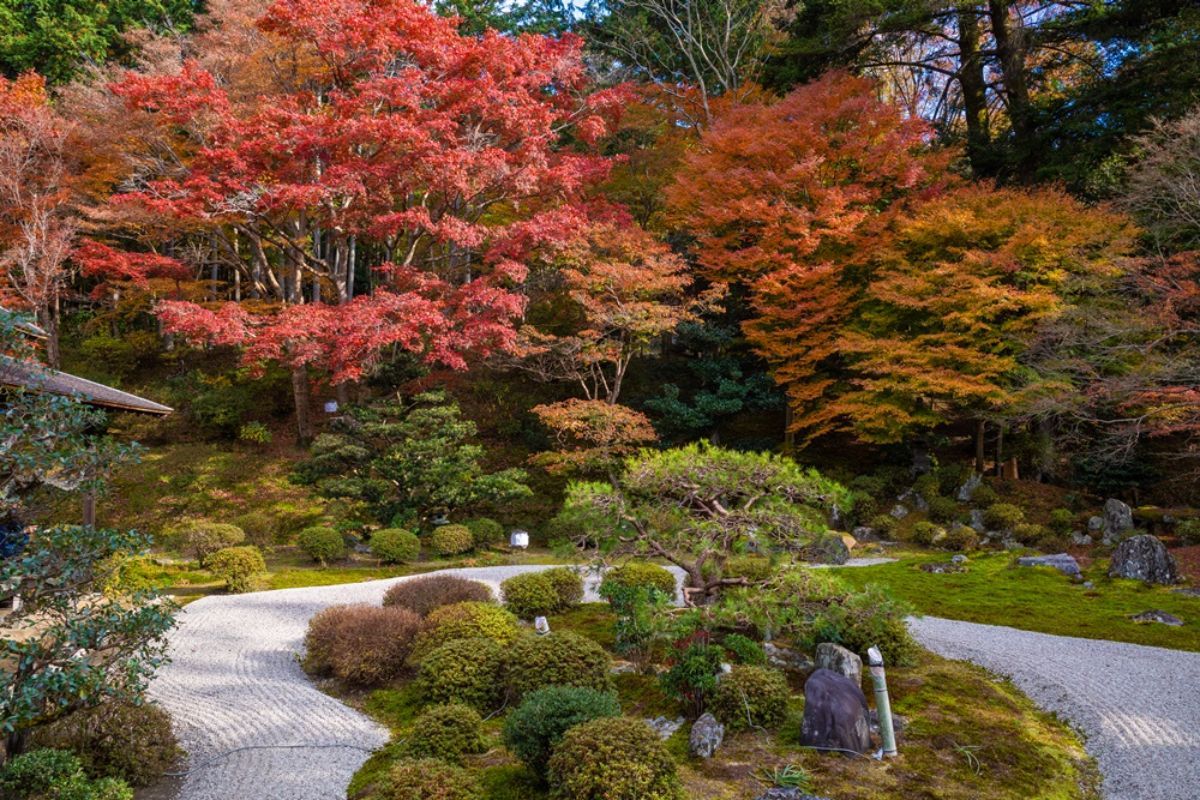 枯山水庭園