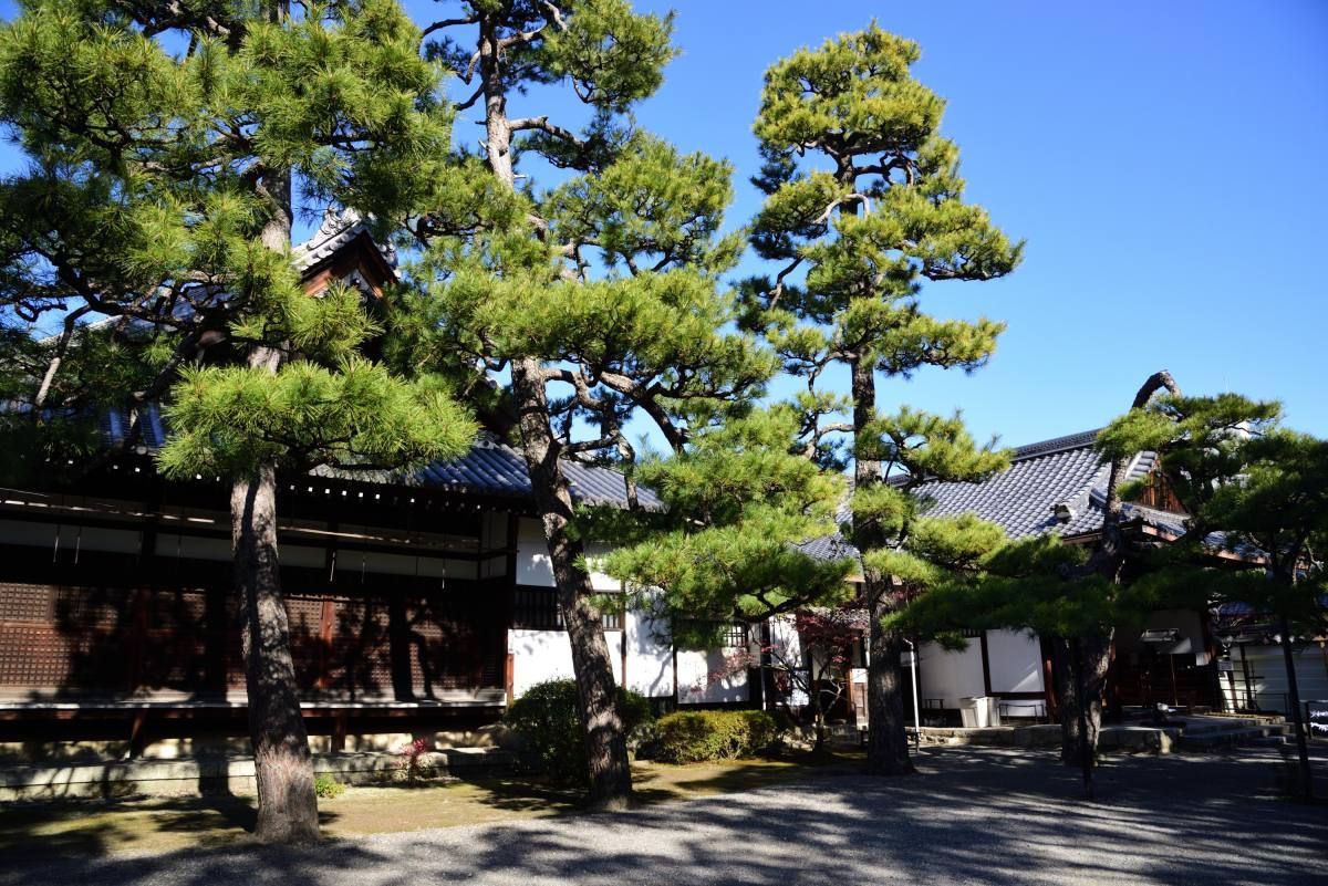 廬山寺