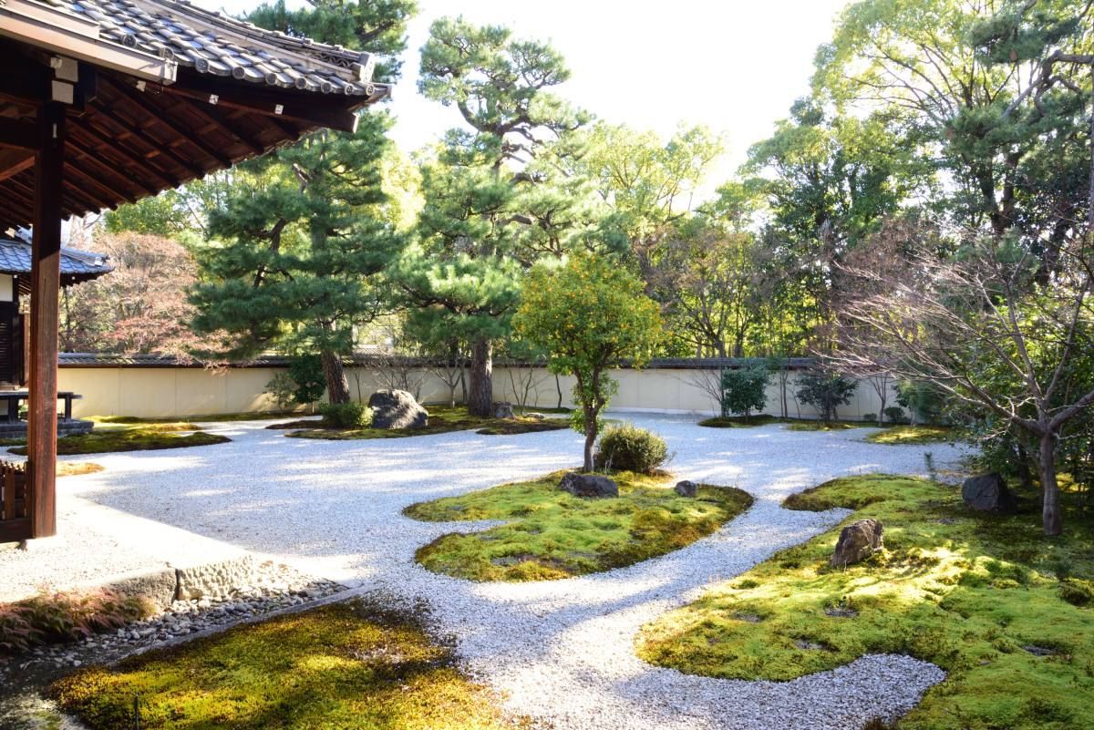 廬山寺 庭園