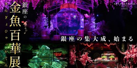 【アートアクアリウム美術館 GINZA】約5年の展示が間もなく終了！ラストを飾る「銀座の金魚百華展」のみどころを紹介