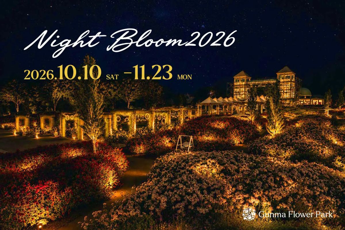 「Night Bloom」