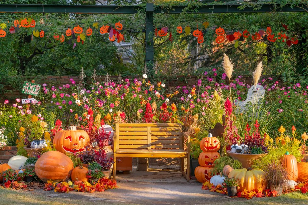 ハロウィン装飾（2025年）