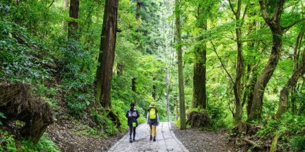 【初心者もOK】レベル別に紹介！ 東京で登山におすすめの山13選