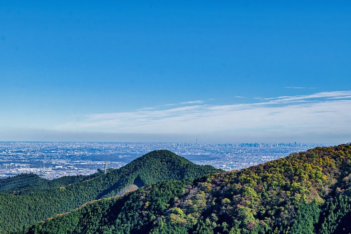 山からの景色