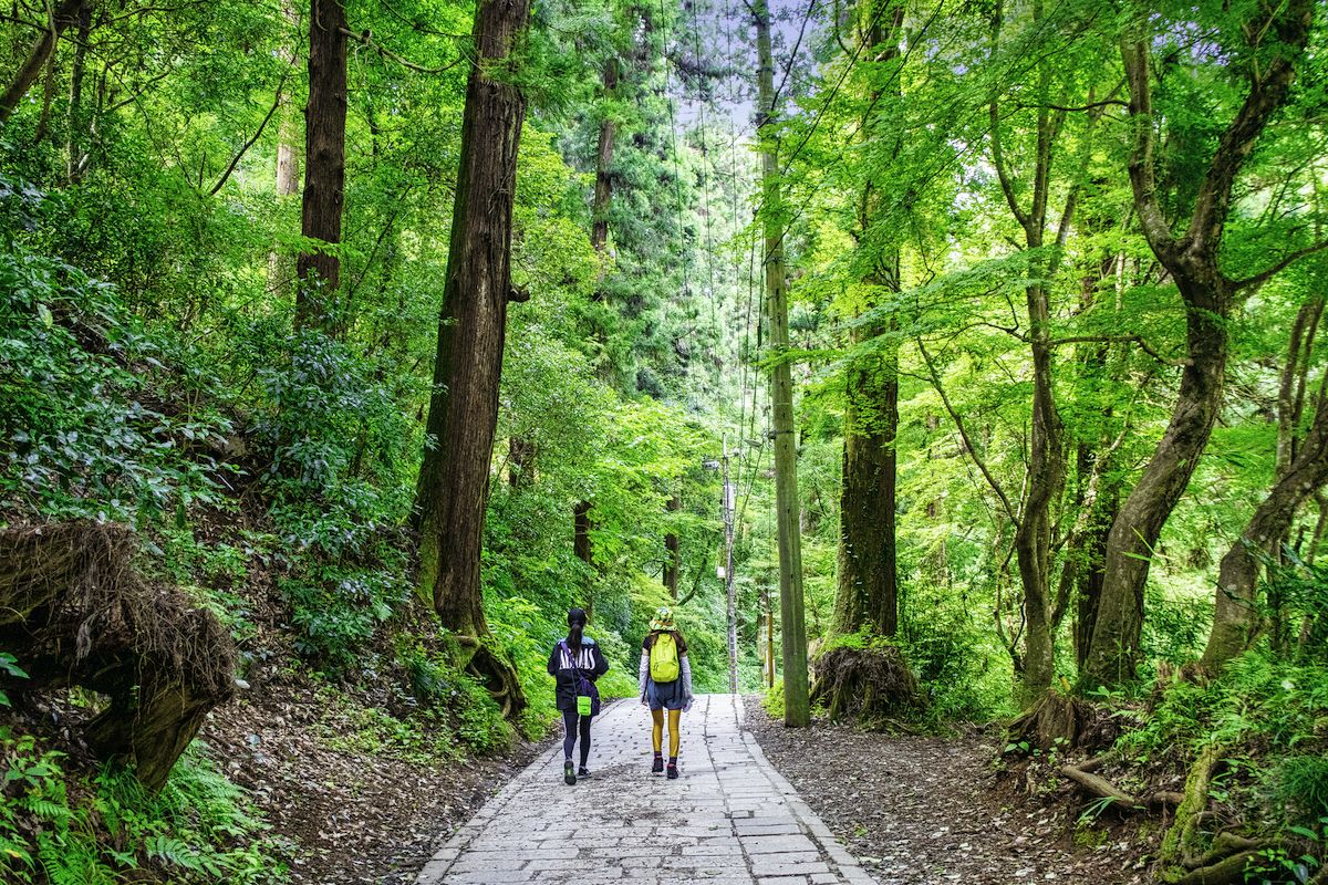 登山する二人の後ろ姿