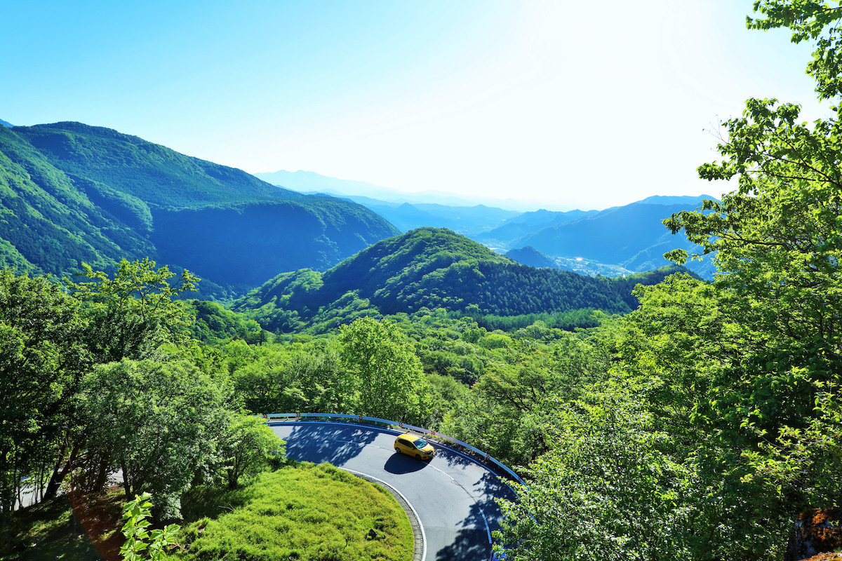 山