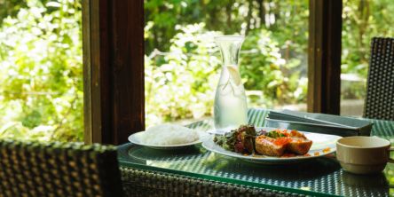 【那須】カフェ＆ガーデンしらさぎ邸｜テラスで洋食ランチが楽しめる人気店｜栃木