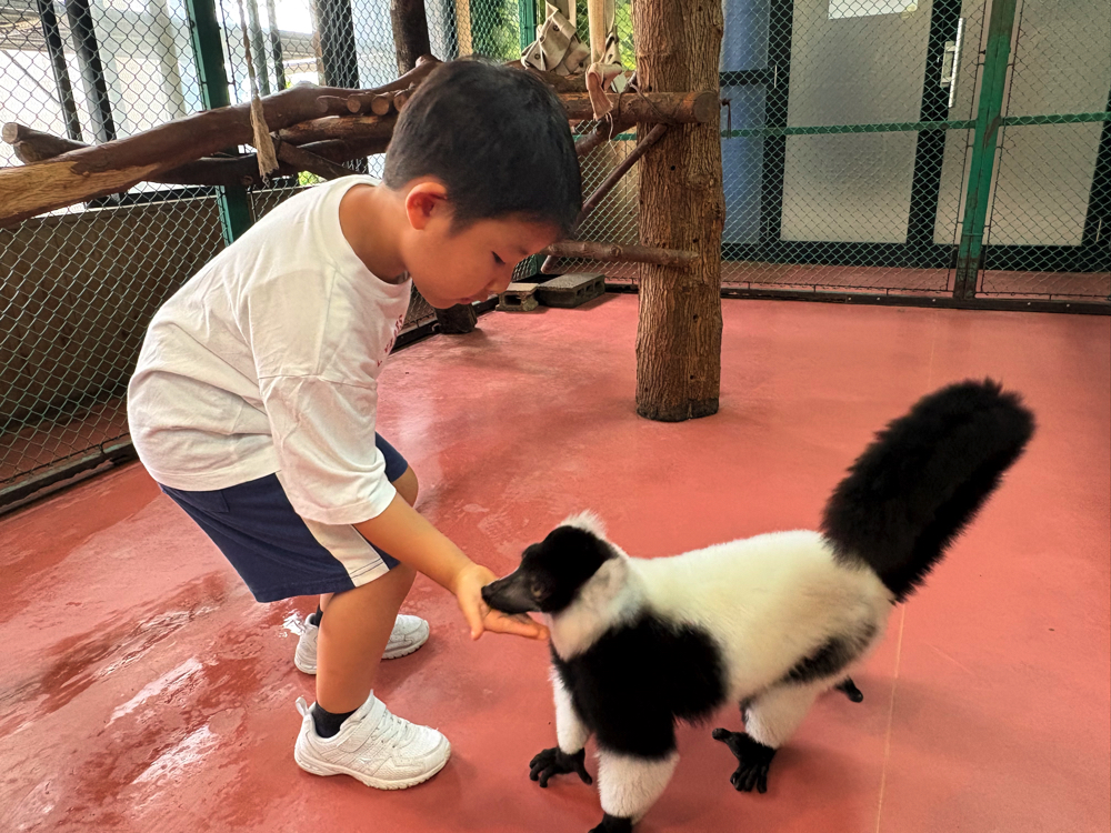 「那須ワールドモンキーパーク」サルの餌やり体験
