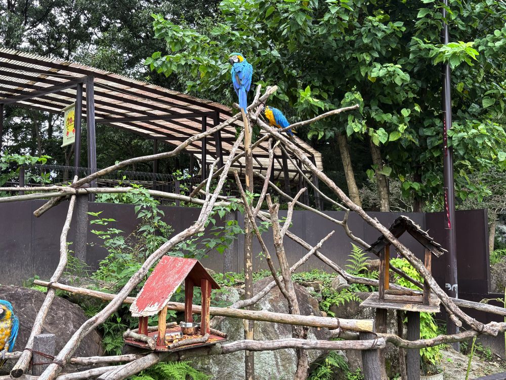 「那須ワールドモンキーパーク」インコふれあい広場