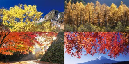 甲信越のフォトジェニックな紅葉名所～おすすめランキング2026～