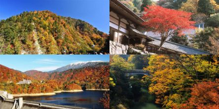 北陸のフォトジェニックな紅葉名所～おすすめランキング2026～