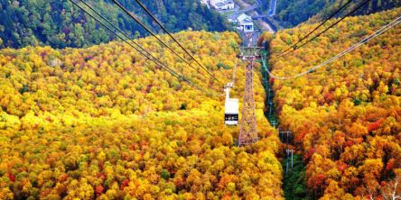 北海道でおすすめの紅葉名所～見頃やライトアップなどの2026年情報～