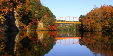千葉県でおすすめの紅葉名所～見頃やライトアップなどの2026年情報～