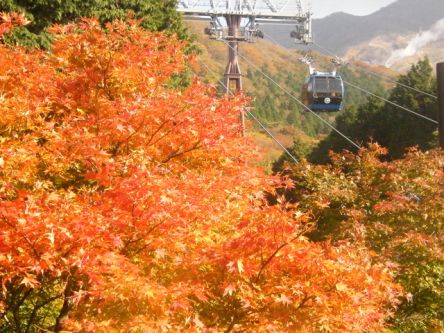 箱根（神奈川県）のおすすめ紅葉名所2026～強羅～仙石原～芦ノ湖など～