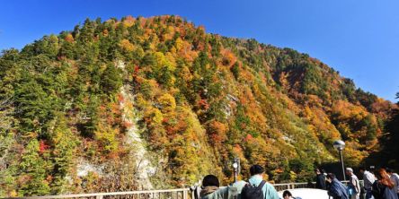 富山県でおすすめの紅葉名所～見頃などの2026年情報～