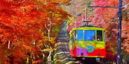【関東近郊】東京から日帰り2時間以内！ 秋のおでかけスポット26選｜絶景＆紅葉＆花畑＆パワースポットなど、都会を脱出して癒やされよう♪