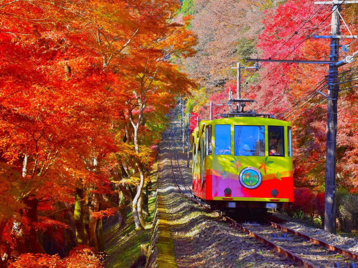 紅葉の中を走るケーブルカー／写真提供 公益社団法人 八王子観光コンベンション協会