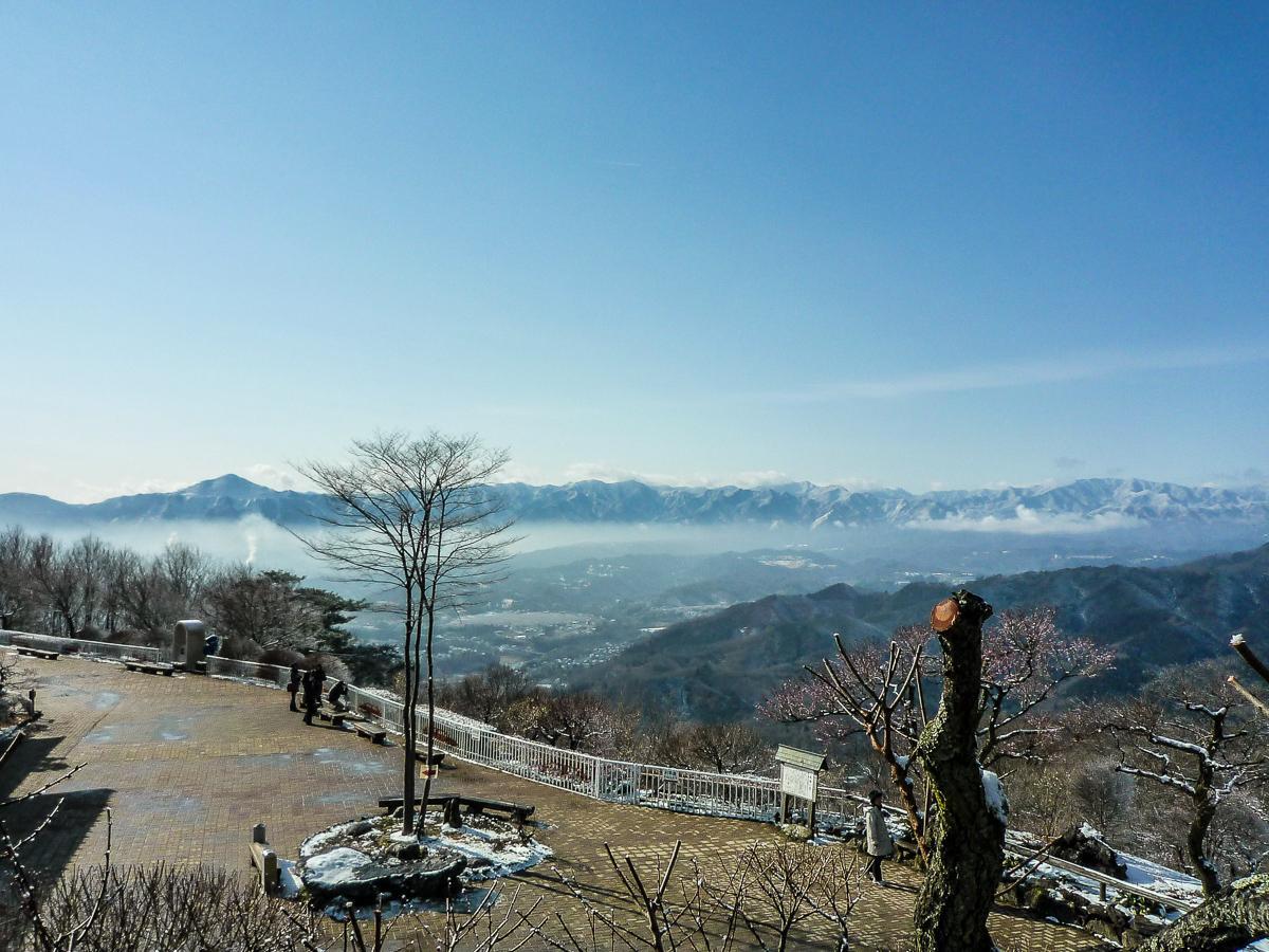 宝登山から見える景色