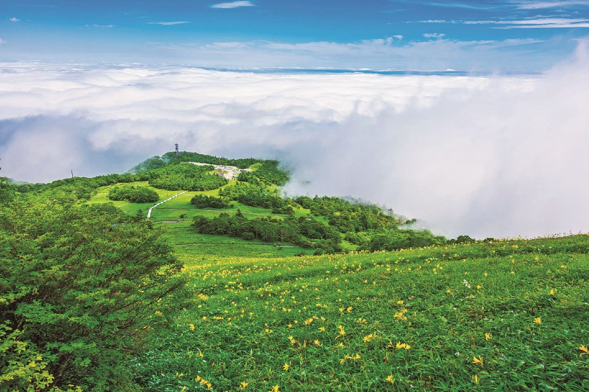 霧降高原