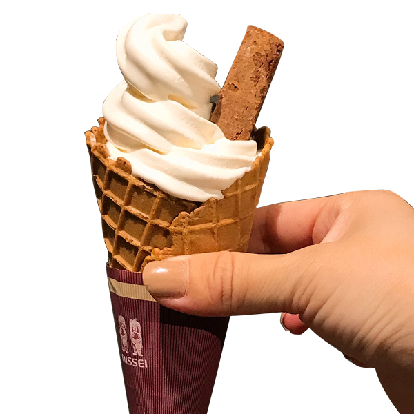 ファットウィッチソフト509円（税抜）