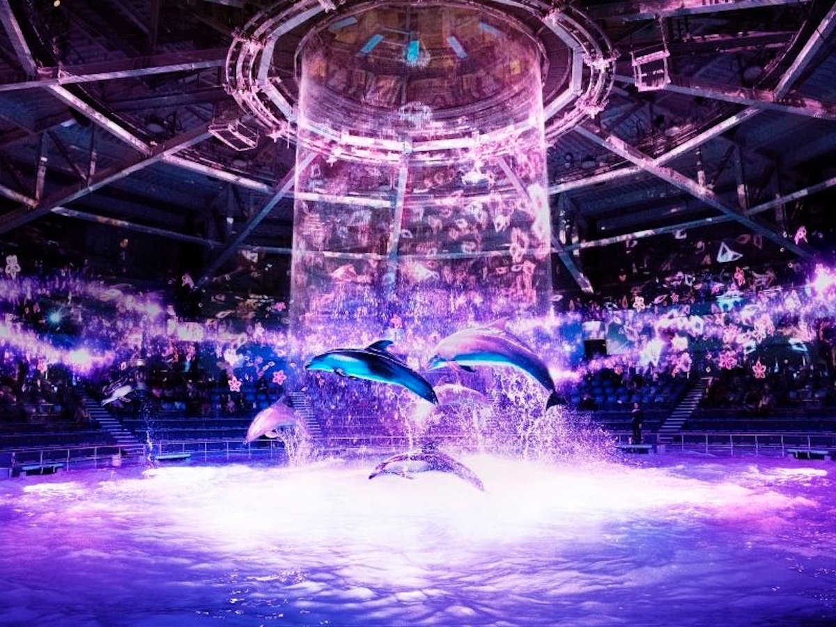 駅近！アクアパークで22時まで楽しめる最先端の“デジタルお花見”