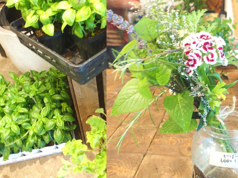 ゼラニウム　250円、ハーブを使ったミニブーケ　600円