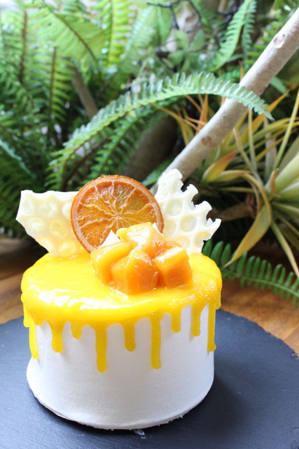 Piatto cheesecake「Bee」 1620円