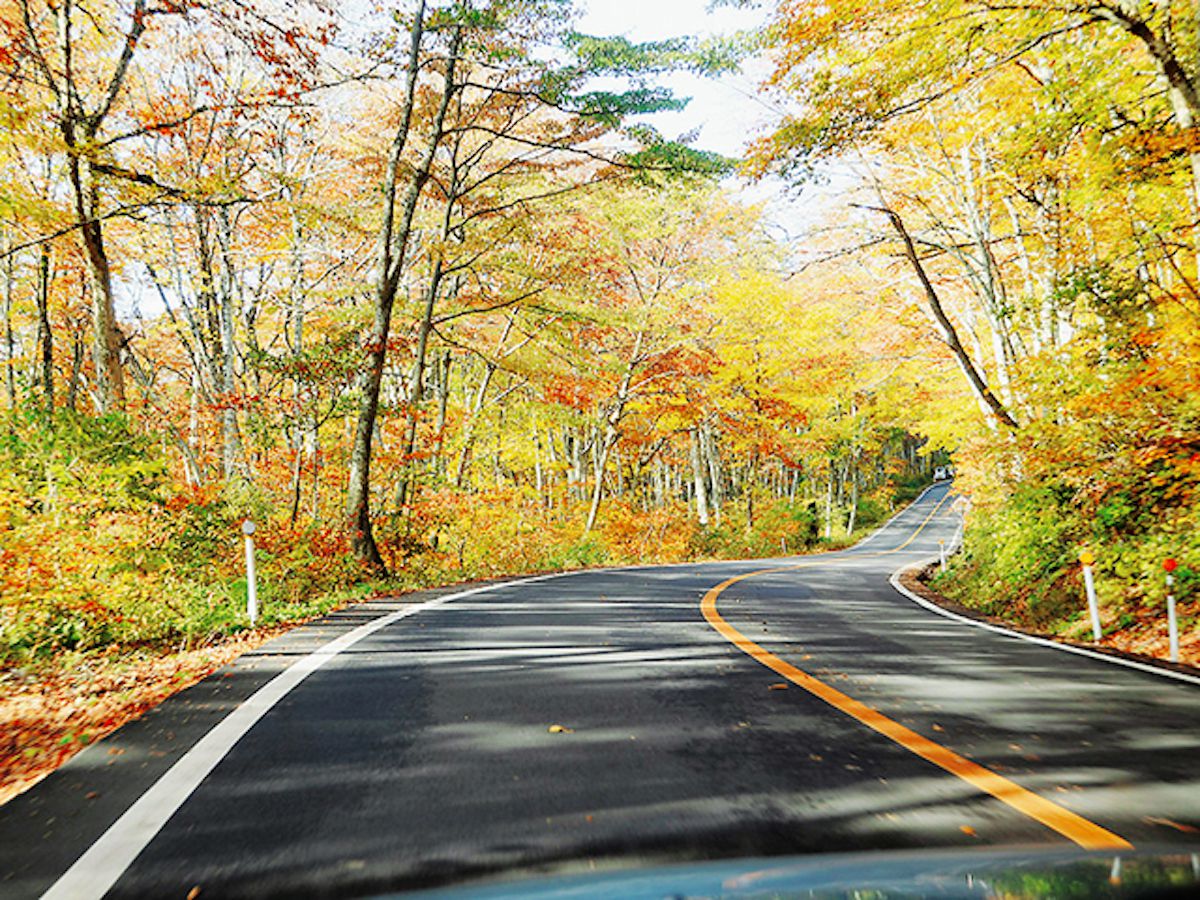 紅く色づくパワースポットの高原を疾走!秋の大山、紅葉狩りドライブ