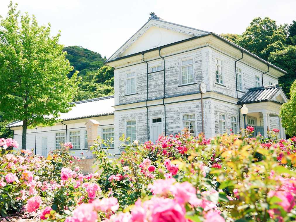 コアラにウサギにお花畑。メルヘン気分に浸れる「イングランドの丘」