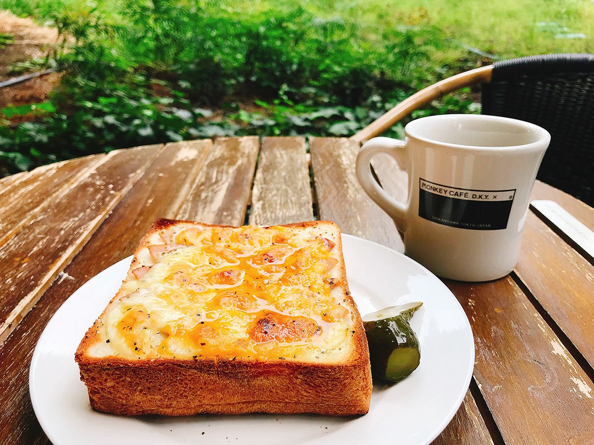 まるで森の中にいるみたい⁉代官山「モンキーカフェ」で緑に癒されたい