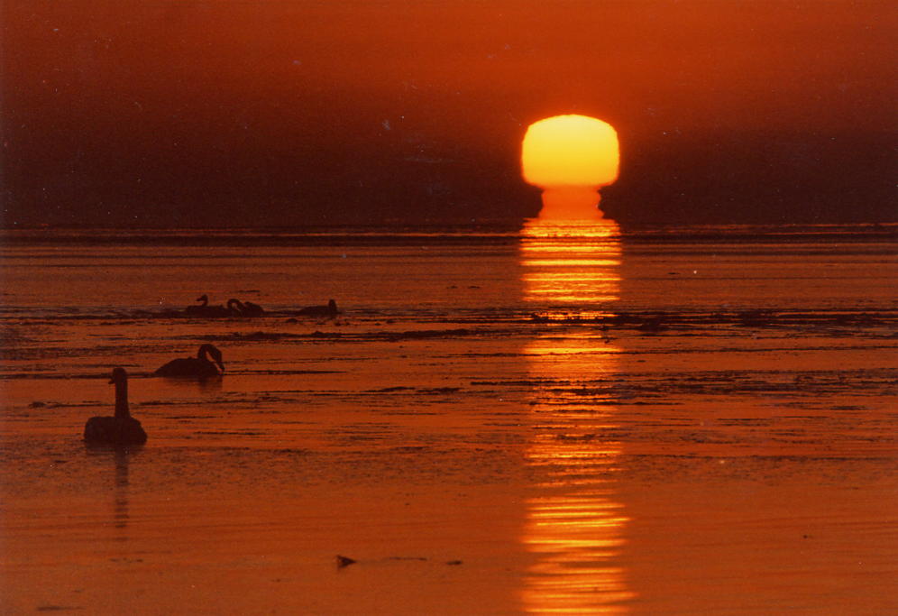 画像提供：別海町観光協会