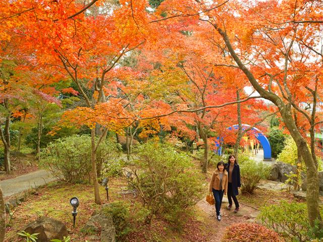 パワースポットでリフレッシュ！筑波山でお気軽・お気楽ハイキング