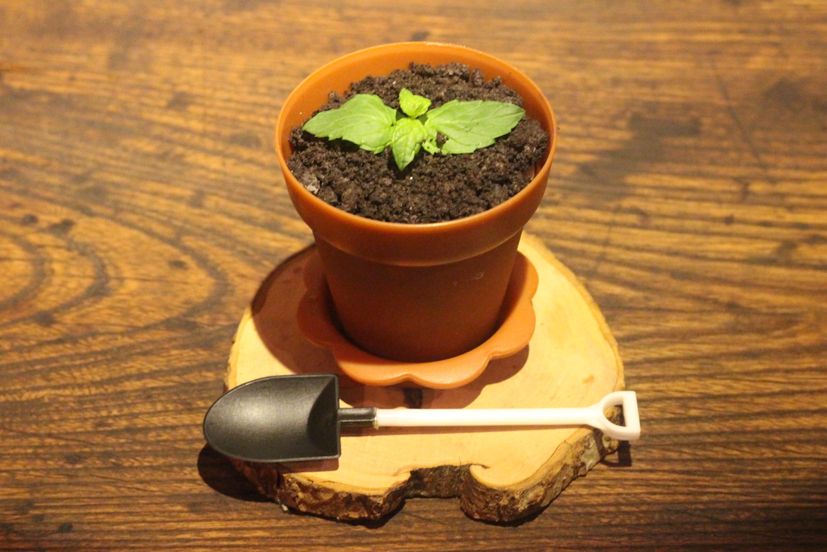 鉢植えデザート 594円