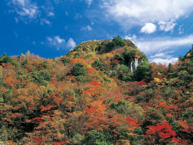 三重県でおすすめの紅葉名所 見頃やライトアップなどの22年情報 三重県でおすすめの紅葉名所 見頃やライトアップなどの22年情報