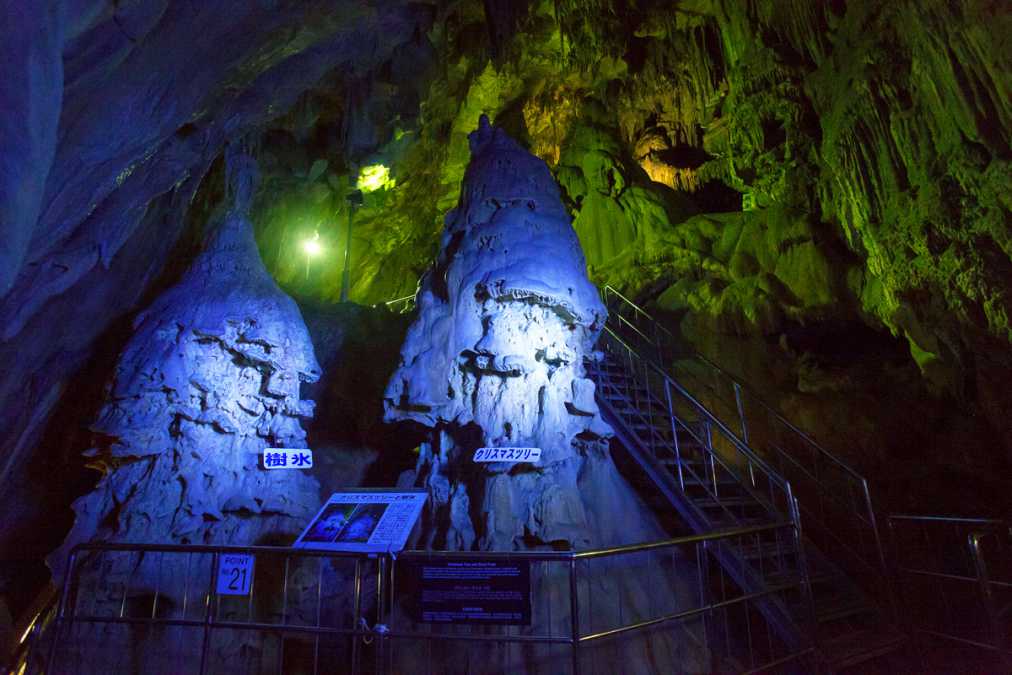 左が「樹氷」で右が「クリスマスツリー」!?