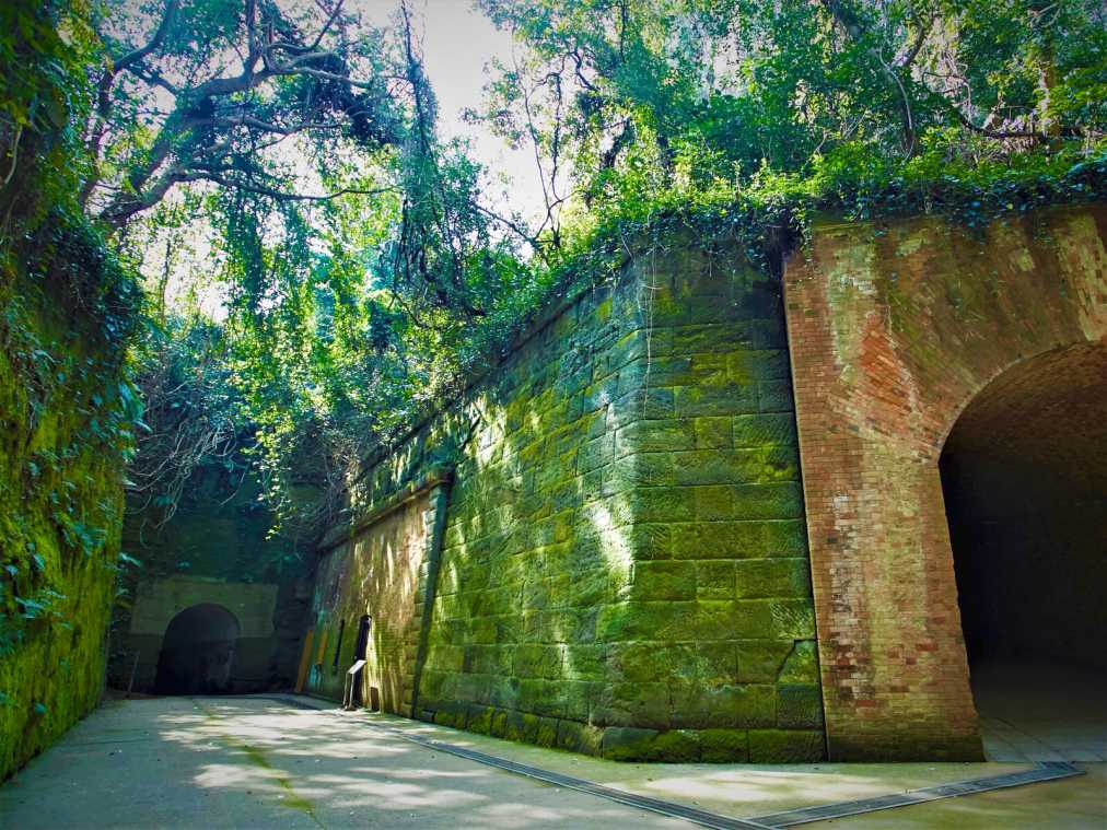 BBQのあとは、幻想的な世界を散策！ジブリの世界が広がる猿島へ