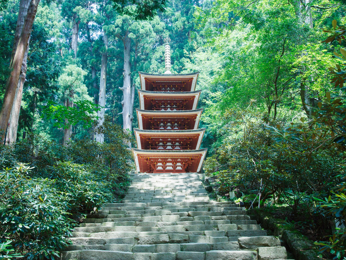 奈良「室生寺」の見どころは？お寺ガール必見の美仏＆美建築が目白押し！御朱印もお忘れなく