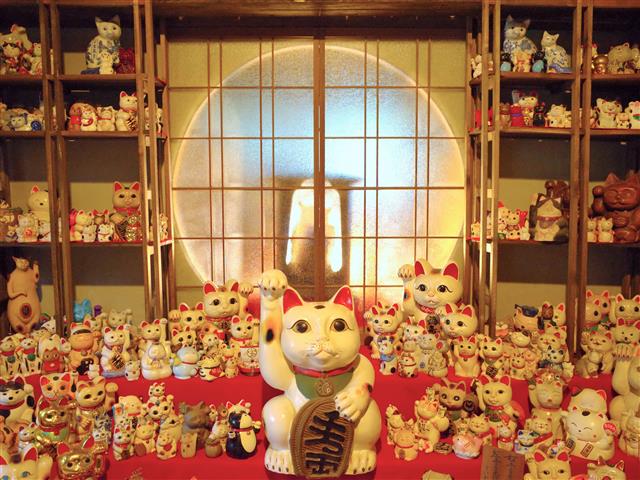 入り組んだ細い路地にネコがいっぱい?! 坂の町、尾道さんぽ