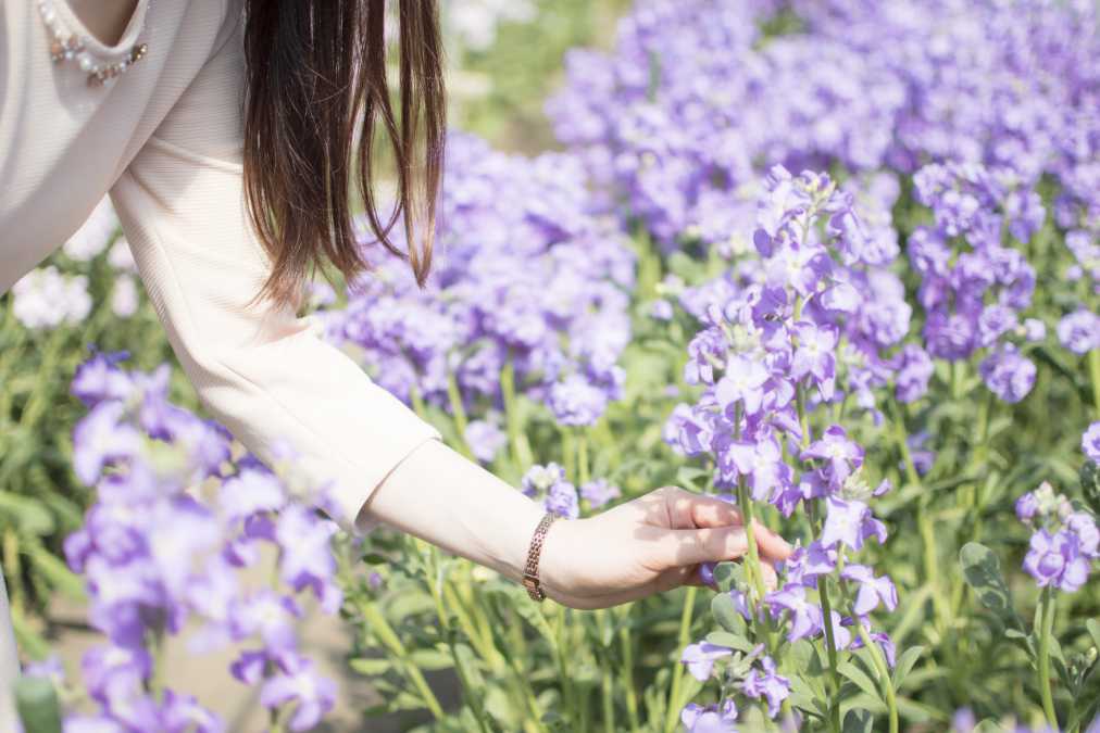 ストックは1本150円