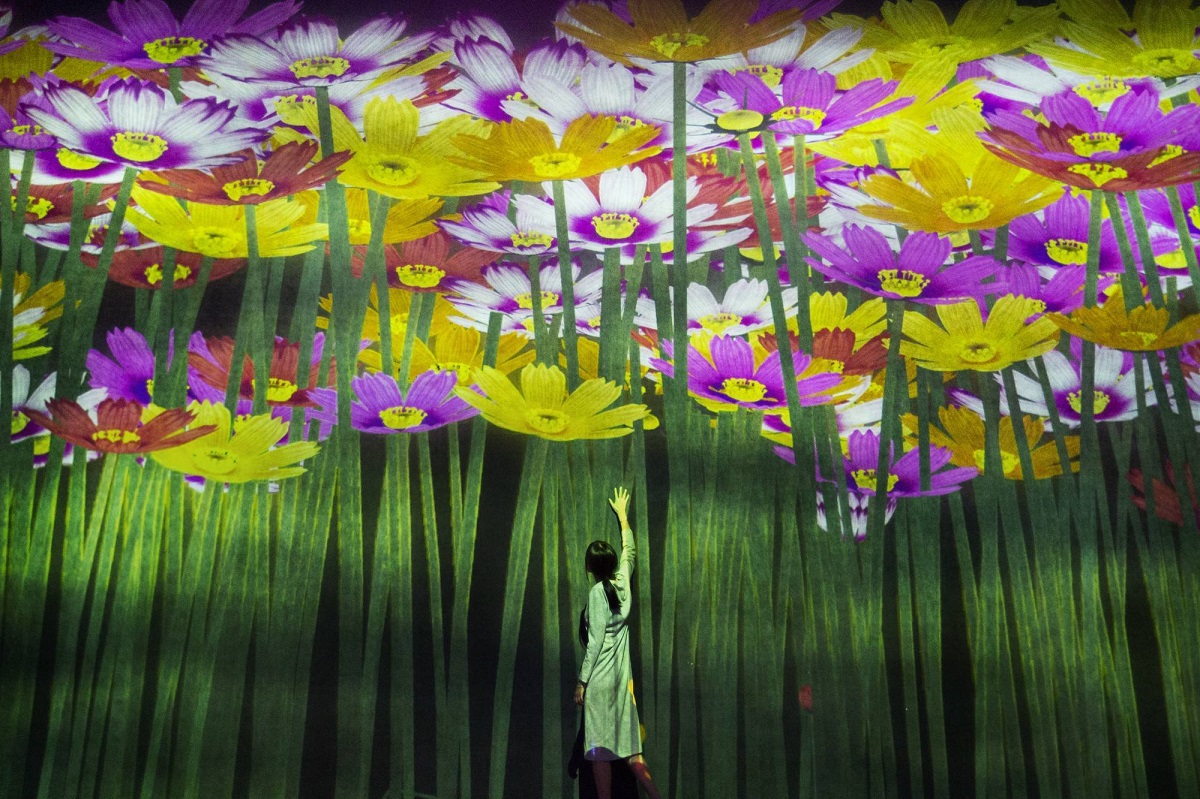 参考画像:花の精霊 / Spirits of the Flowers  teamLab, 2018, Interactive Digital Installation (10月の花)