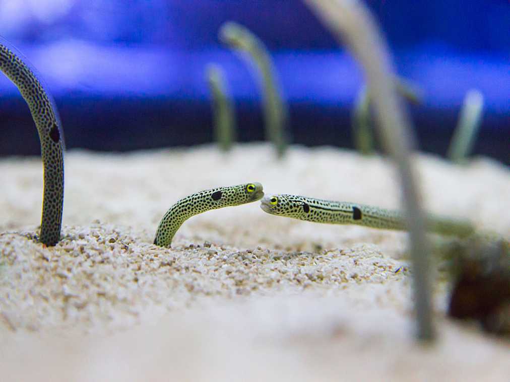 お顔を突き合わせてケンカ中？