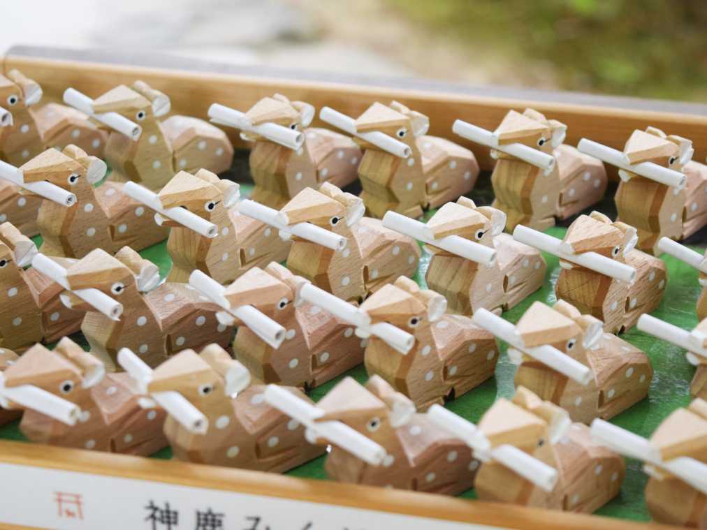あの紫式部も愛した神社へ。かわいい“鹿”に幸せ託す縁結びさんぽ