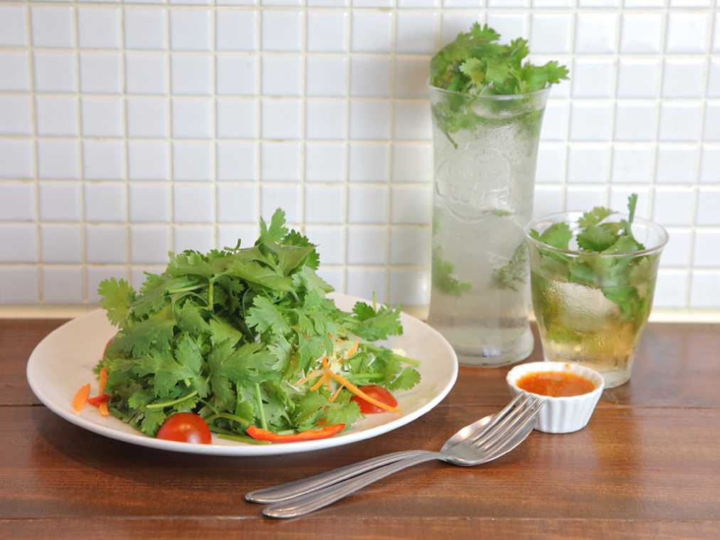パクチー好き必見！料理からドリンクまで、パクチー天国のタイ料理バル