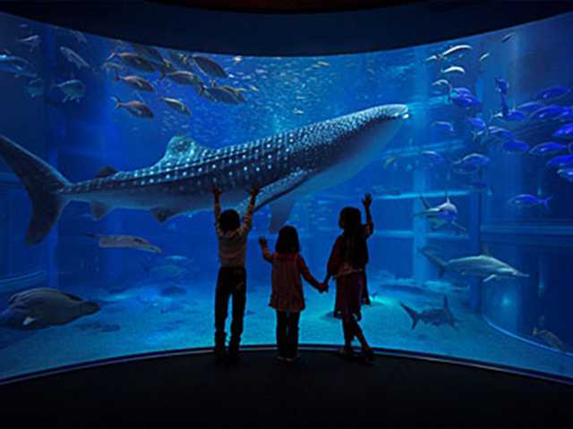 新世界のこてこてグルメから大阪のこてこてレジャースポットはしご旅！