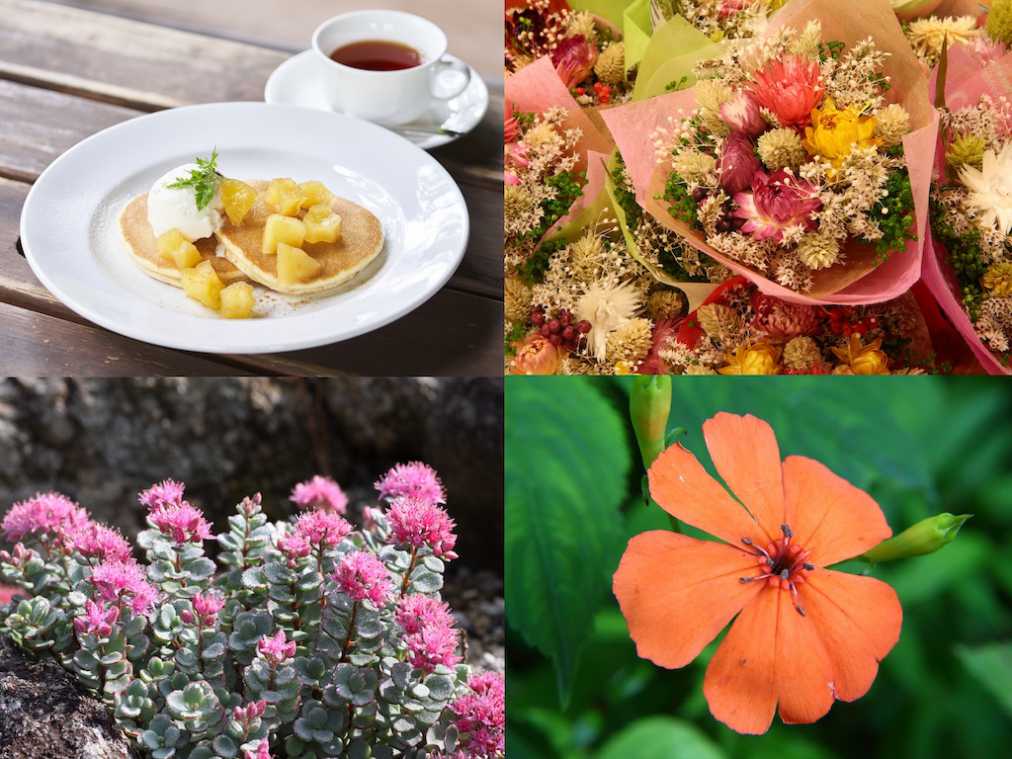 ドライフラワーに秋限定のパンケーキ。かわいい！が集まる「六甲高山植物園」