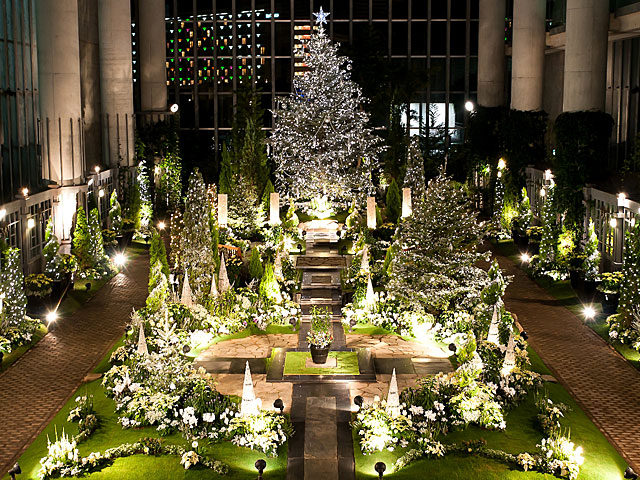 奇跡の星の植物館