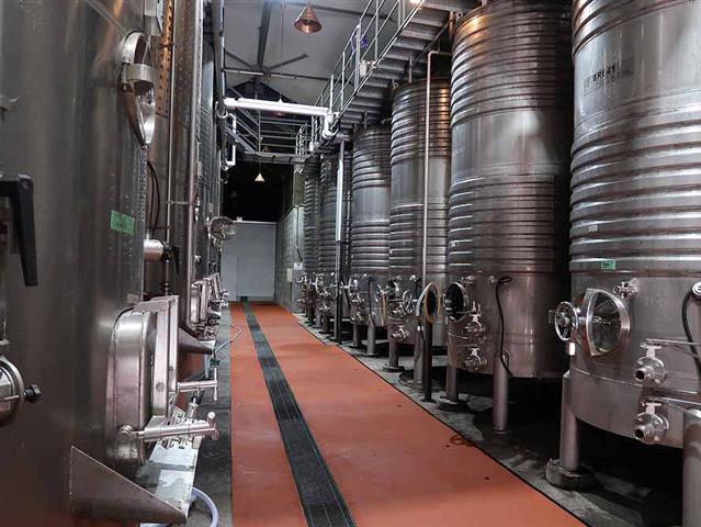 醸造設備見学
