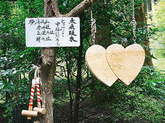 高千穂でパワー充填！ブランド牛から絶景まで心と体に効くヒーリングプラン