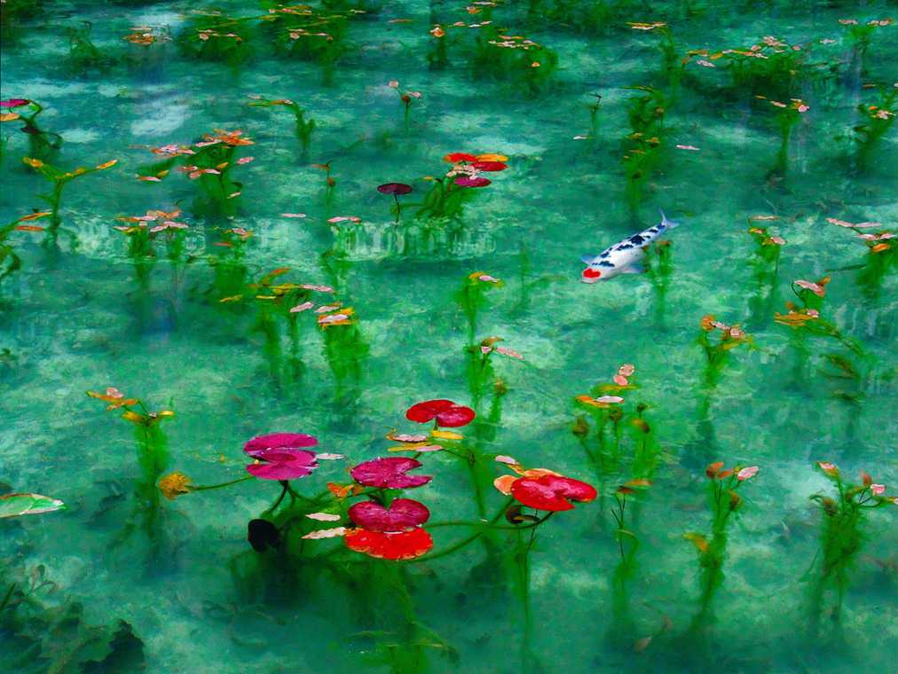 モネの池から郡上八幡を目指す！知る人ぞ知る穴場ドライブルート